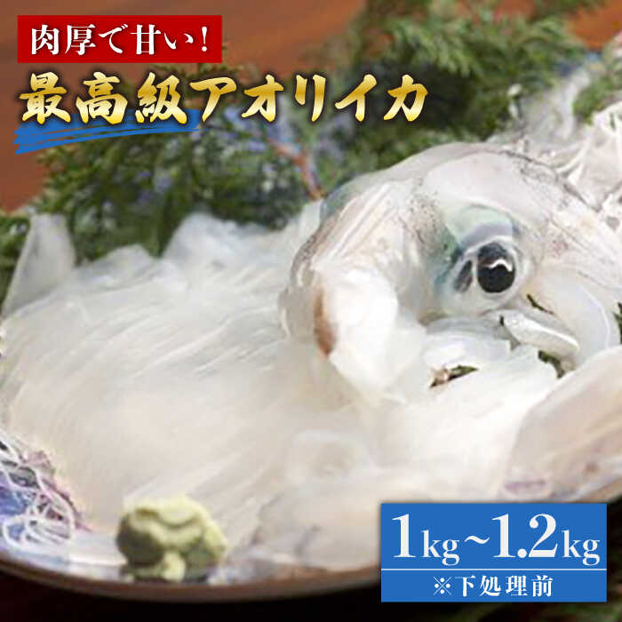 【ふるさと納税】五島産 アオリイカ 1～1.2kg  五島市/マルセイ水産[PBT003] 刺身 冷凍 いか 海鮮 あおりいか 海産物
