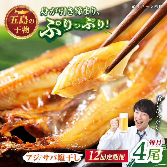 【ふるさと納税】【12回定期便】【S】一夜干し 塩干し（アジ/サバ）計4尾 五島市/愛情食彩[PCH012] 魚 干物 あじ さば 長崎 おかず おつまみ｜長崎県五島市