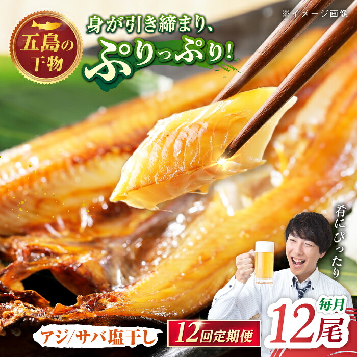 【ふるさと納税】【12回定期便】【L】一夜干し 塩干し（アジ/サバ）計12尾 五島市/愛情食彩[PCH028] 干物 手作り 鯵 鯖 あじ さば 水産加工品 長崎 おかず おつまみ 逸品｜長崎県五島市