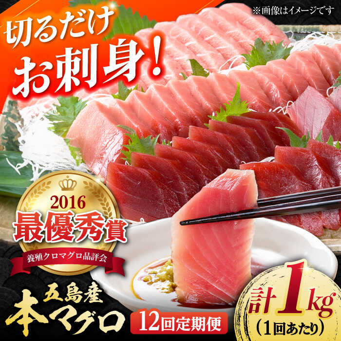 【ふるさと納税】【全12回定期便】本マグロ (養殖) ブロック 詰合せ 計12kg (1kg×12回) 刺身【奥浦海鮮直売所】 [PCL011] 柵 刺身 マグロ まぐろ 鮪 さしみ とろトロ 刺し身 冷凍