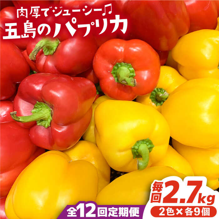 【ふるさと納税】【全12回定期便】五島のパプリカ 計18個 野菜 サラダ 野菜炒め 【HPIファーム】 [PCP006] 野菜 やさい 国産 新鮮 緑黄色野菜 産地直送 とれたて