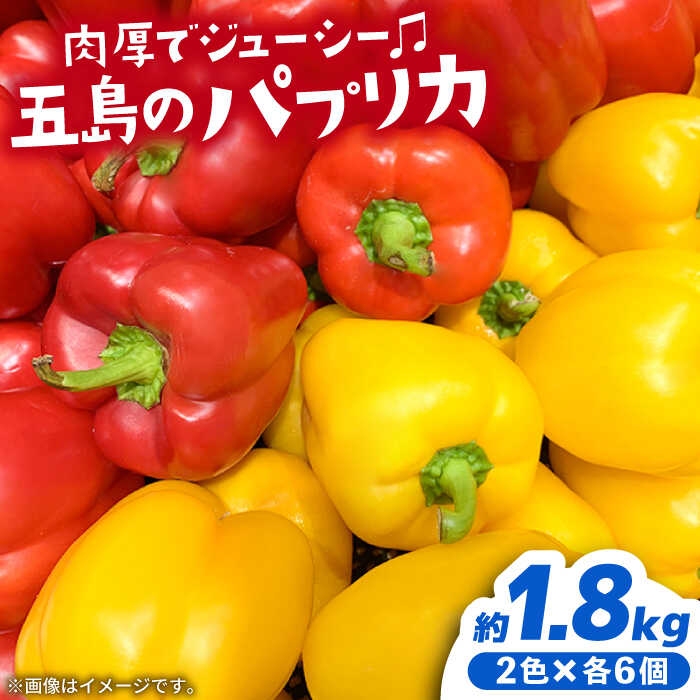【ふるさと納税】【肉厚＆ジューシー】五島のパプリカ 計12個 五島市/HPIファーム[PCP008] 野菜 やさい 国産 新鮮 緑黄色野菜 産地直送 とれたて