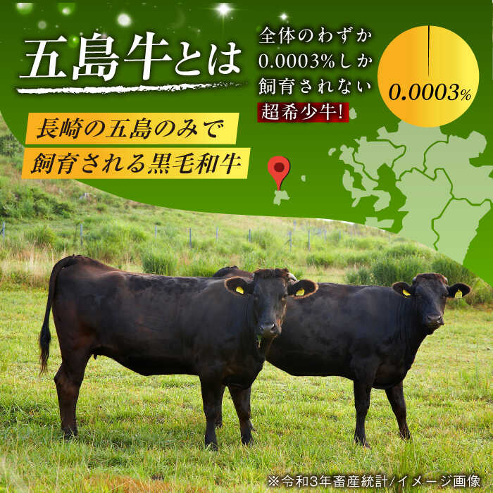 紫③ ふるさと納税 五島牛 サーロインステーキ250g×2枚 A4 A5 牛肉 長崎和牛 焼肉 五島市 肉のマルヒサ [PCV002] 長崎県五島市  通販