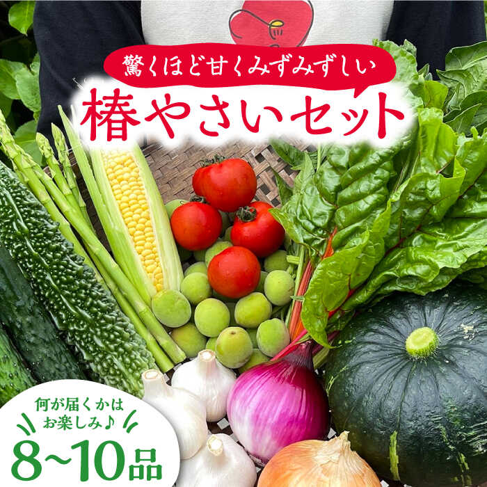 【ふるさと納税】何が届くかはお楽しみ 椿やさいの野菜セット(8-10品)詰合せ 五島市/いきいきファーム [PCY001] 詰合せ 詰め合わせ 野菜 お野菜 おまかせ おたのしみ BOX ボックス お取り寄せ