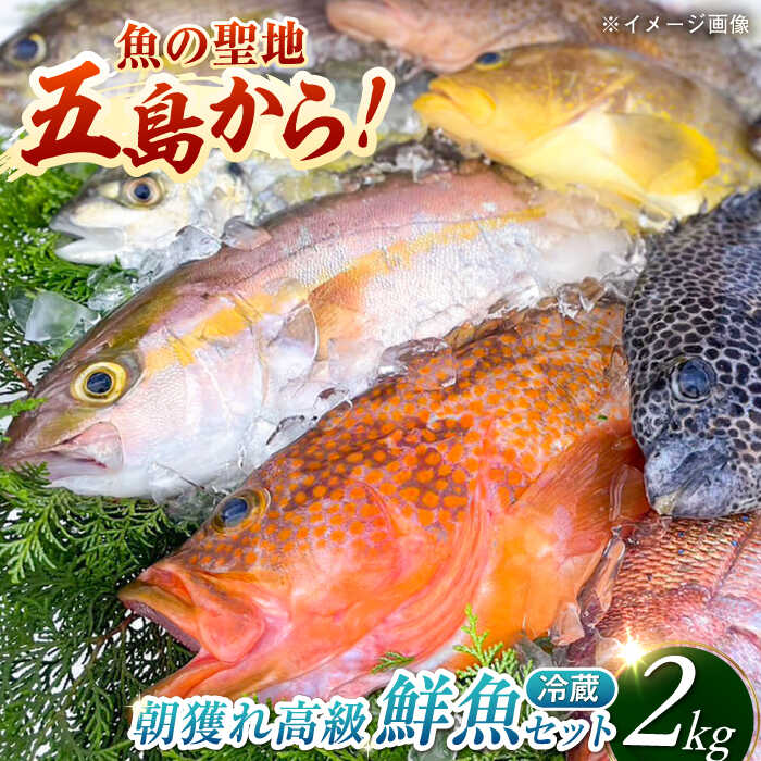【ふるさと納税】【五島列島・直送】朝獲れ！高級鮮魚セット2kg 五島市 / 鯛福丸水産 [PDP002] 魚 鮮魚 セット 海鮮 直送 さかな 詰合せ 冷蔵