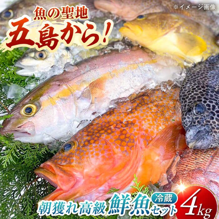 【ふるさと納税】【五島列島・直送】朝獲れ！高級鮮魚セット4kg 五島市 / 鯛福丸水産 [PDP003] 魚 鮮魚 セット 海鮮 直送 さかな 詰合せ 冷蔵