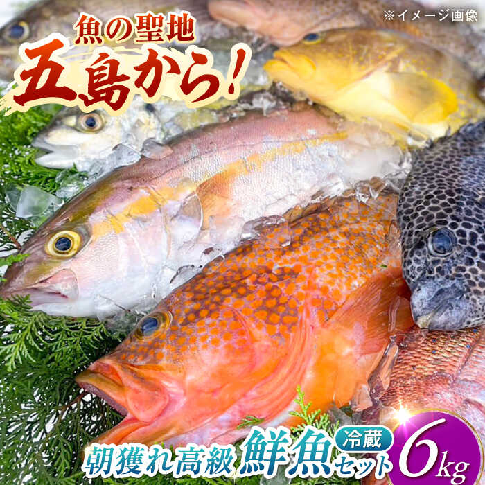 福島隆壽、【瀬戸内’04】、希少な額装用画集より、新品額装付、状態良好 福兎会 on X: 