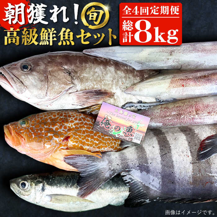 【ふるさと納税】【全4回定期便】【五島列島・直送】朝獲れ！高級鮮魚セット2kg 五島市 / 鯛福丸水産 [PDP005]  魚 鮮魚 セット 海鮮 直送 さかな 詰合せ 冷蔵 定期