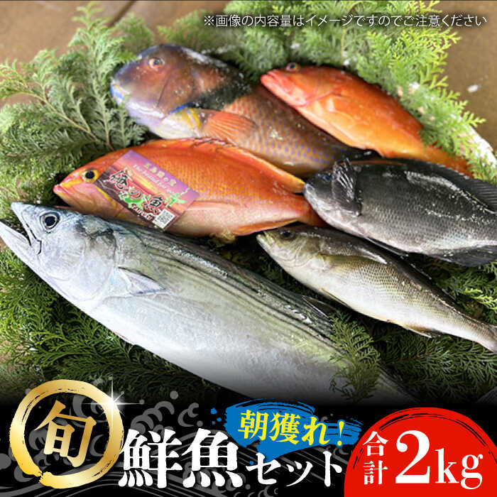 楽天市場】【ふるさと納税】五島列島直送！朝獲れ鮮魚セット6kg 鯛福丸水産/五島市[PDP012] : 長崎県五島市