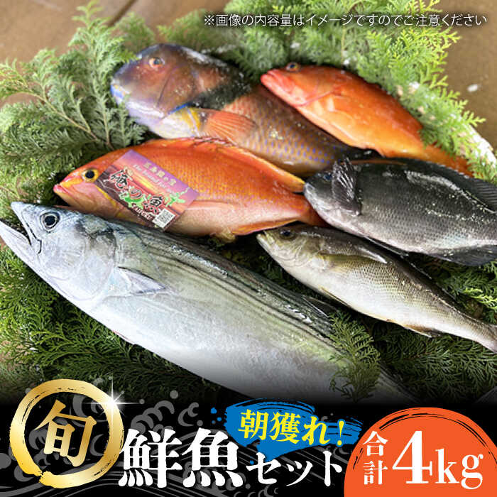 【ふるさと納税】五島列島直送！朝獲れ鮮魚セット4kg 鯛福丸水産/五島市[PDP011]  魚 鮮魚 セット 海鮮 直送 さかな 詰合せ 冷蔵