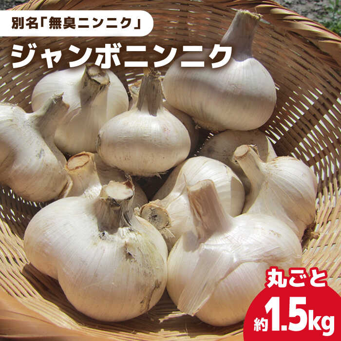 【ふるさと納税】【7月先行予約】【匂わない！大きなぷっくりニンニク】無農薬！こだわりのジャンボニンニク（まるごと）【ぷらっと農園】[PDS003]