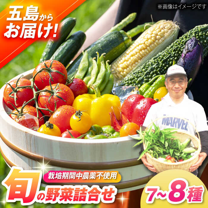 【ふるさと納税】【一人暮らしに】有機農法・旬の野菜詰め合わせ 五島市/ぷらっと農園 [PDS005]
