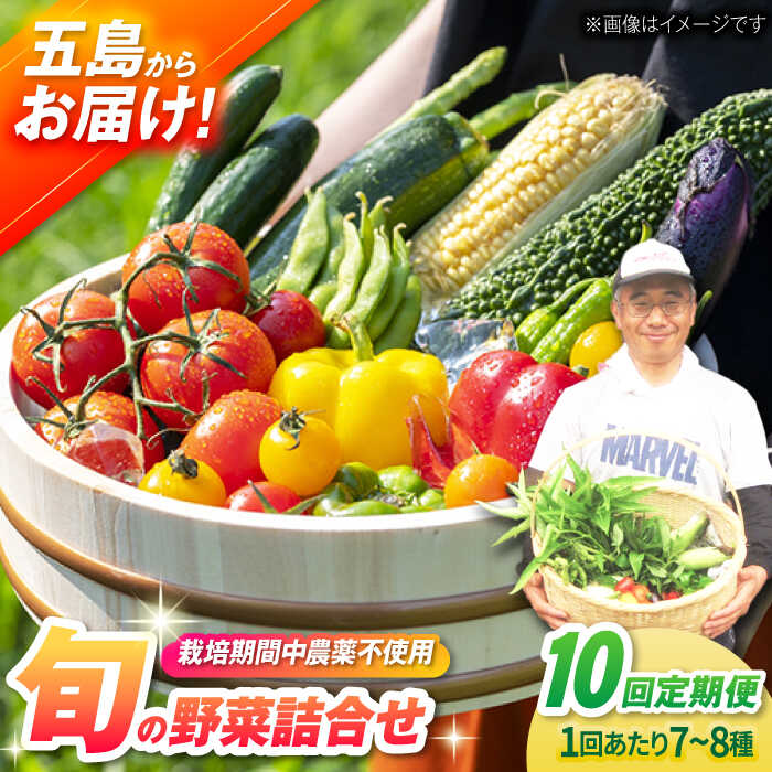 【ふるさと納税】【全10回定期便】自然栽培・旬の野菜詰め合わせ 五島市/ぷらっと農園[PDS010]｜長崎県五島市