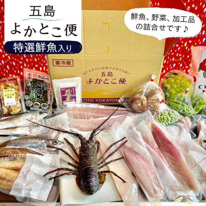 【ふるさと納税】五島よかとこ便 特選鮮魚入り 野菜 加工品 おまかせ お楽しみ セット 五島市 / GOTO Challenged 椿 [PDU002]｜長崎県五島市