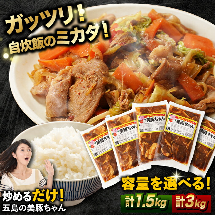 【ふるさと納税】五島美豚 美豚ちゃん300g×5/10個セット 五島市/長崎フードサービス [PEL001] 簡単 調理 豚肉 豚 レトルト パック 小分け 国産 焼肉 加工 肉