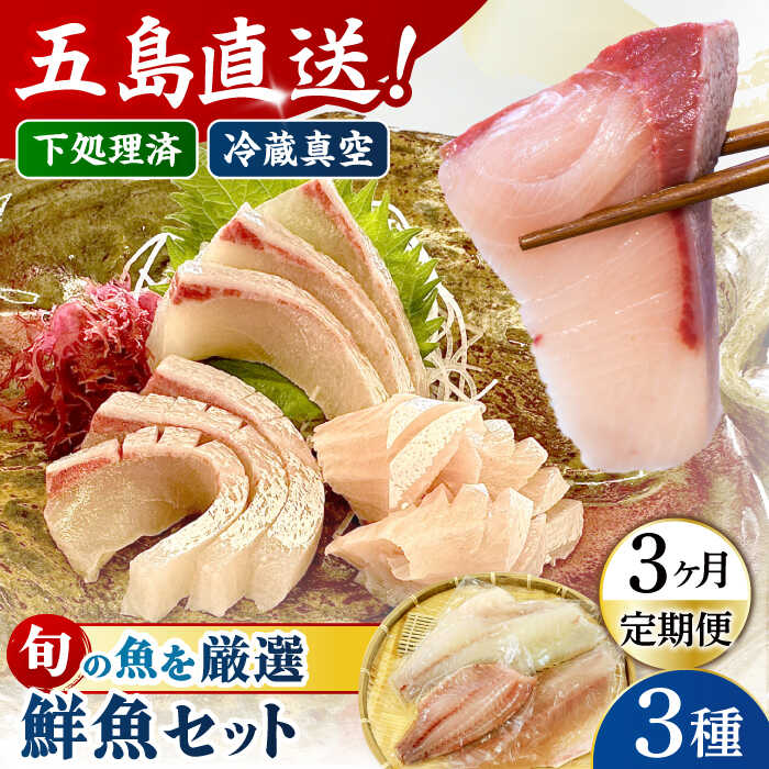 【ふるさと納税】【3回定期便】【冷蔵】【下処理済】鮮魚ボックス3種 五島市/金沢鮮魚[PEP012] 冷蔵 真空パック 新鮮 下処理済み 海鮮 刺身 セット 金澤仕立て 鮮魚 冷蔵 真空パック 新鮮 下処理済み 海鮮 刺身 セット｜長崎県五島市 43,200円