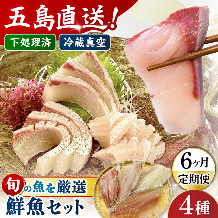 【ふるさと納税】【6回定期便】【冷蔵】【下処理済】鮮魚ボックス4種 五島市/金沢鮮魚[PEP016] 冷蔵 真空パック 新鮮 下処理済み 海鮮 刺身 セット 金澤仕立て 鮮魚 冷蔵 真空パック 新鮮 下処理済み 海鮮 刺身 セット｜長崎県五島市