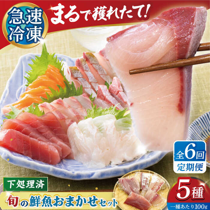 【ふるさと納税】【全６回定期便】【五島の旬】下処理済み 超速冷凍 鮮魚 5種 五島市 / 金沢鮮魚[PEP020] 柵 冷蔵 真空パック 新鮮 下処理済み 海鮮 刺身 セット
