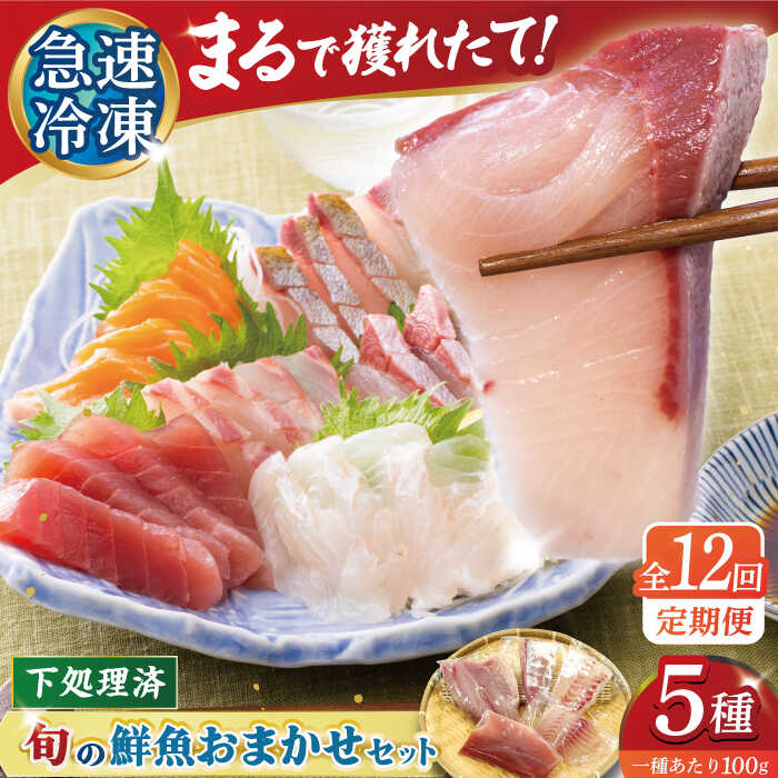 【ふるさと納税】【全12回定期便】【五島の旬】下処理済み 超速冷凍 鮮魚 5種  五島市 / 金沢鮮魚[PEP021] 柵 冷蔵 真空パック 新鮮 下処理済み 海鮮 刺身 セット