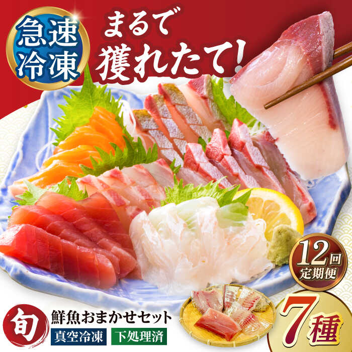 【ふるさと納税】【12回定期便】【下処理済】超速冷凍鮮魚7種（5種+焼物用2種）五島市/金沢鮮魚[PEP071] 魚 食べ比べ 刺身 さしみ 刺し身 刺身セット 焼魚 急速冷凍 小分け 真空パック 長崎県 定期便｜長崎県五島市