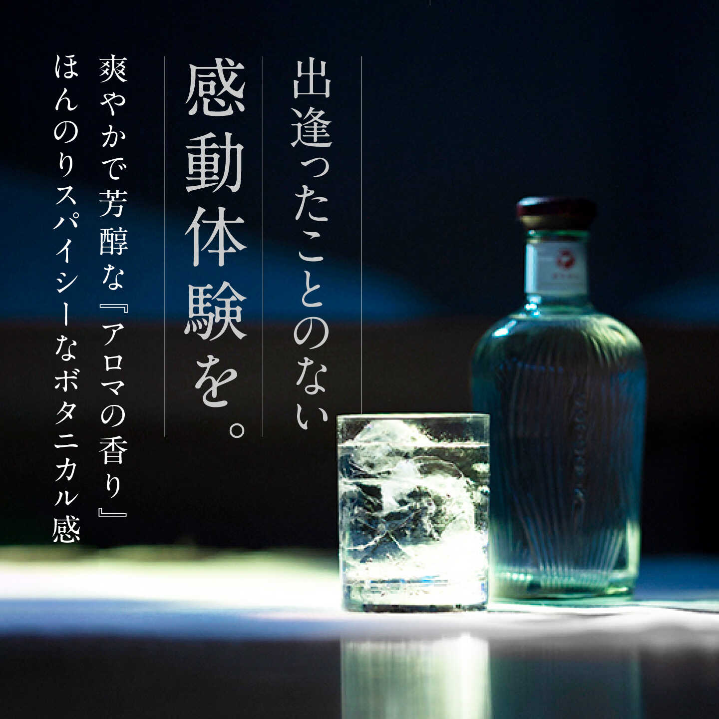 ふるさと納税】GOTOGIN（ゴトジン）500ml クラフトジン 五島市/五島