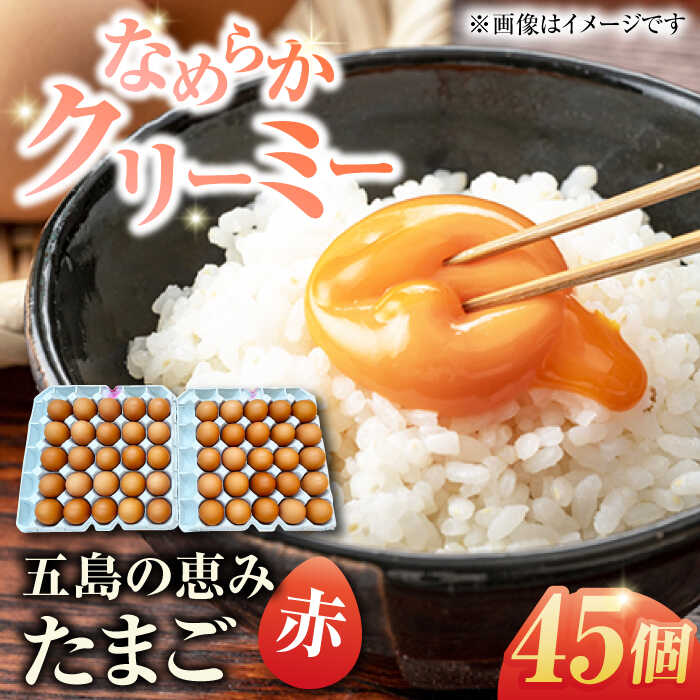 【値引】五臓サプリA】烏骨鶏卵黃500粒¥70,000を 000000000068-02-l.jpg?t=