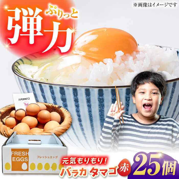 楽天市場】【ふるさと納税】【黄身がつかめる！ブランド卵】TOCO