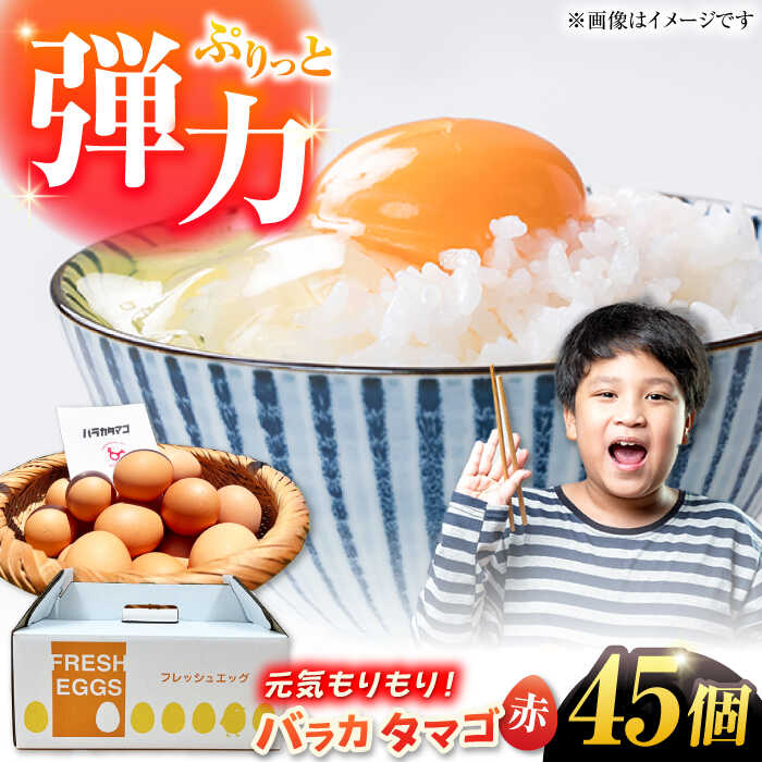 【ふるさと納税】【箱入り】バラカタマゴ 45個入 M～Lサイズ 卵 玉子 たまご 国産 五島市 / 五島列島大石養鶏場[PFQ053] 玉子 タマゴ 鶏卵 希少 五島列島
