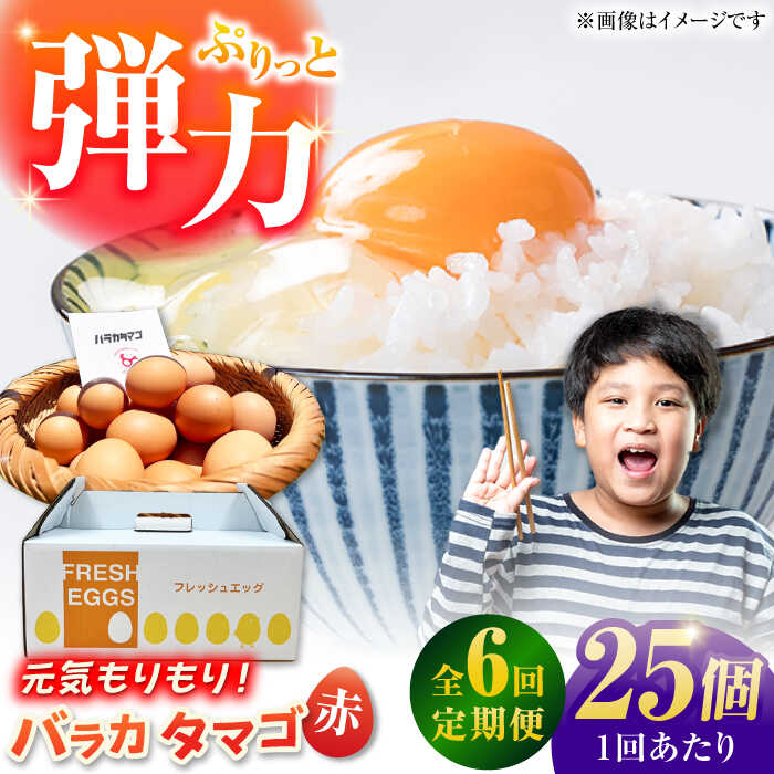 【ふるさと納税】【全6回定期便】【箱入り】バラカタマゴ 25個入 M～Lサイズ 卵 玉子 たまご 国産 五島市 / 五島列島大石養鶏場[PFQ058] 玉子 タマゴ 鶏卵 希少 五島列島