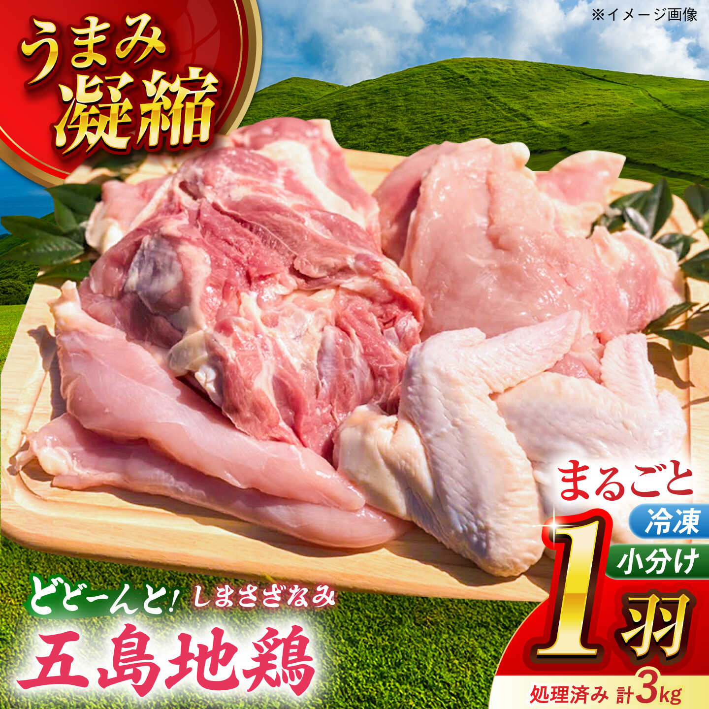 【ふるさと納税】五島しまさざなみ まるごと1羽分セット 冷凍 五島市/合同会社五島さざなみ農園[PHH001]｜長崎県五島市
