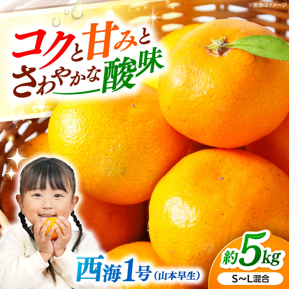 【ふるさと納税】【11月上旬より発送予定】みかんドーム特選 西海1号（山本早生）約5kg＜道の駅さいかい みかんドーム＞[CAI038] 長崎 西海 みかん 蜜柑 ミカン 柑橘 温州みかん 果物 高糖度 フルーツ 贈答 ギフト｜長崎県西海市