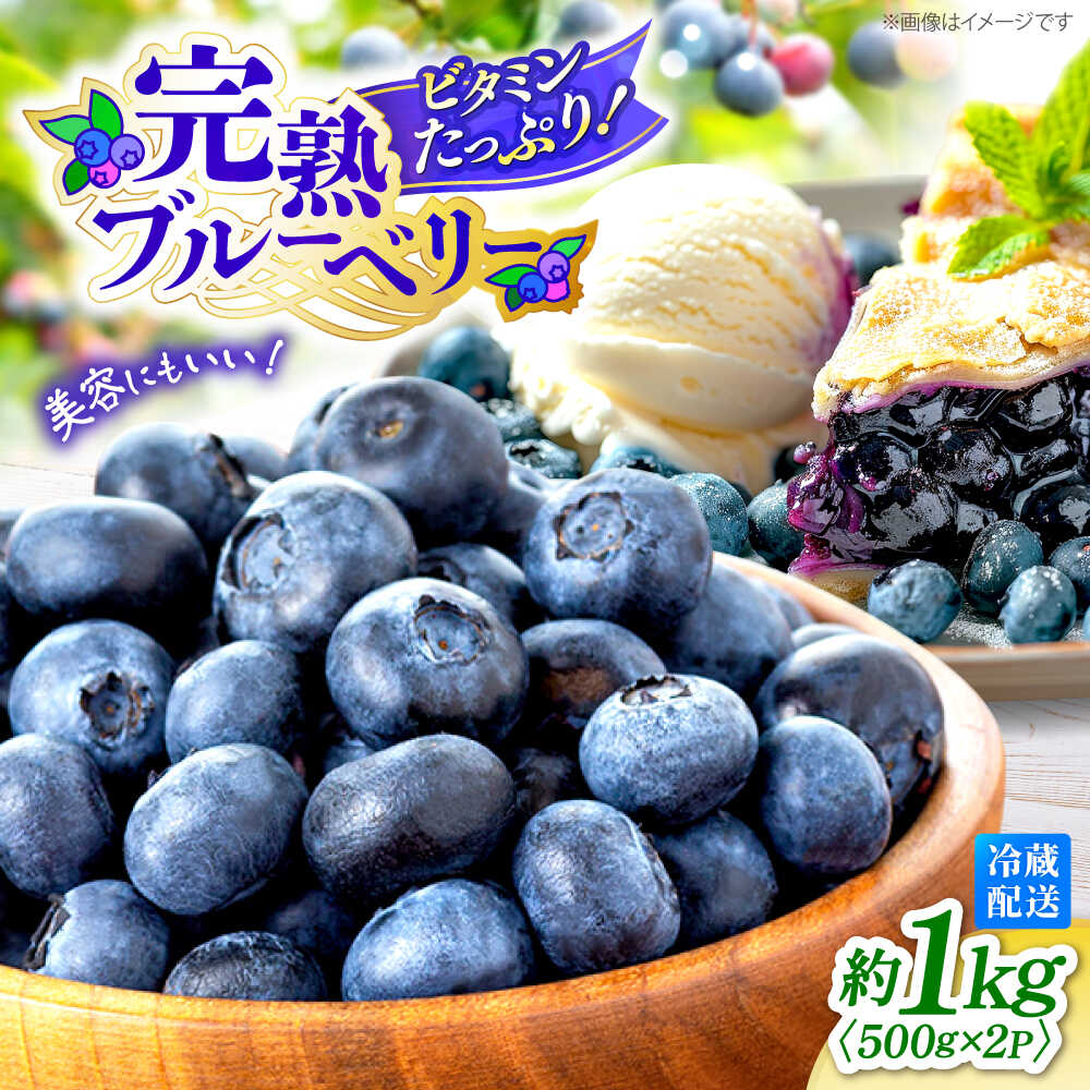 【ふるさと納税】【6月中旬より順次発送】【栽培期間中 農薬不使用】完熟 ブルーベリー 約1kg（500g×2パック）＜広津農園＞ [CBN008] 長崎 西海市 ブルーベリー 完熟 果物 フルーツ 新鮮 冷蔵