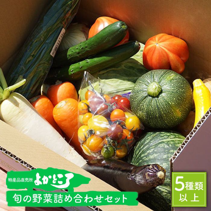 【ふるさと納税】旬の野菜の詰め合わせ（5種以上）＜よかところ＞ [CBO003] 野菜 やさい 詰め合わせ セット 九州産 長崎県産 5種以上
