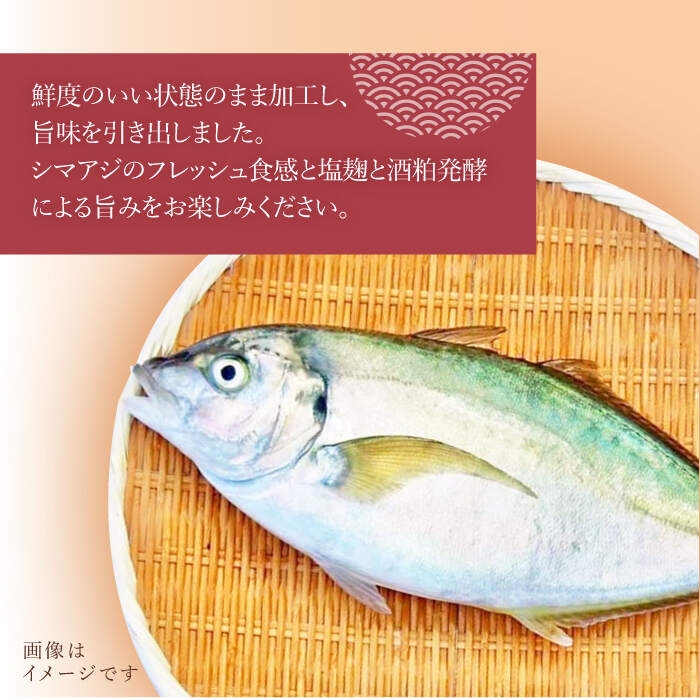 83％以上節約 シマアジの塩辛 3種セット 魚介 水産品 加工品 大島水産種苗 CBW029 fucoa.cl