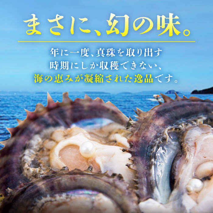 売れ筋がひ 数量限定 真珠貝 アコヤ の貝柱 約1kg 西彼町漁協 Cbz007 Www Dexion Com Au