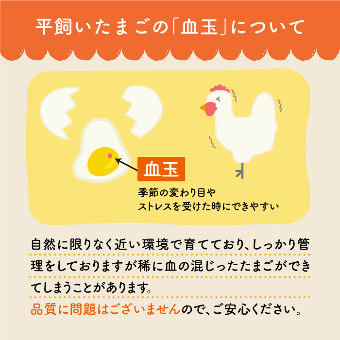 最大53 Offクーポン ふるさと納税 毎月40個 12回定期便 平飼い しあわせたまご 計480個 松本養鶏場 Ccd030 Whitesforracialequity Org