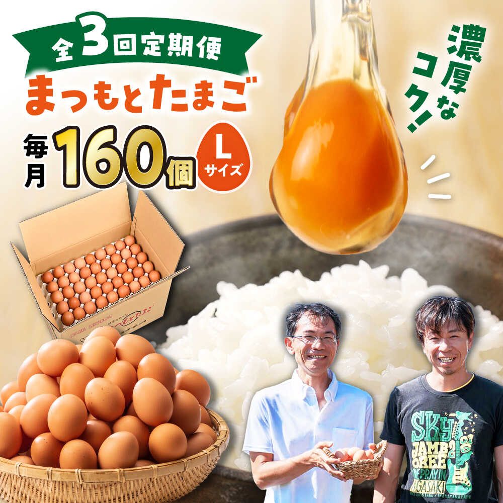 【ふるさと納税】【月1回Lサイズ160個×3回定期便】 まつもとたまご 160個 ＜松本養鶏場＞[CCD014] 長崎 西海 卵 生卵 新鮮 卵かけごはん 安全 安心 美味しい こだわり 少数飼い 定期 Lサイズ 赤玉 贈答 ギフト 贈り物