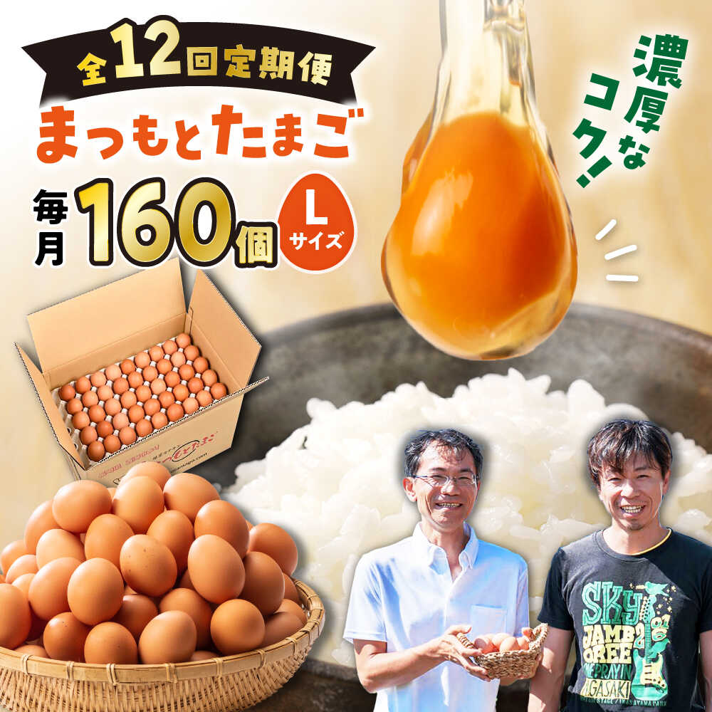 【ふるさと納税】【月1回 Lサイズ 160個&times;12回 定期便 】 まつもとたまご 160個＜松本養鶏場＞[CCD016] 長崎 西海 卵 生卵 新鮮 卵かけごはん 安全 安心 美味しい こだわり 少数飼い 定期 赤玉｜長崎県西海市