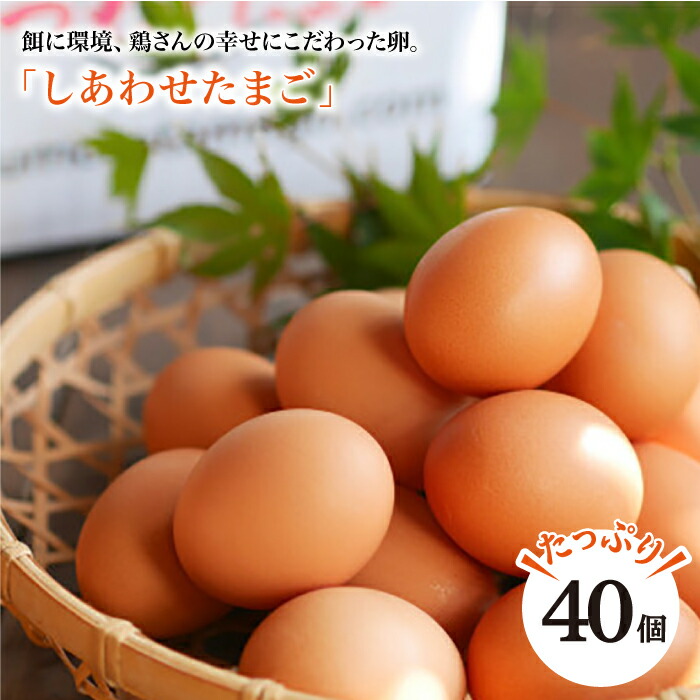 【ふるさと納税】【大切な人への贈り物に】平飼い「しあわせたまご」40個＜松本養鶏場＞ [CCD021] 卵 たまご タマゴ 40個