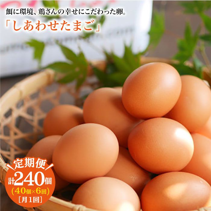 【ふるさと納税】【月1回40個×6回定期便】平飼い「しあわせたまご」計240個＜松本養鶏場＞ [CCD025]長崎 西海 たまご 卵 タマゴ 松本 養鶏場 定期便 平飼い 40個 6回定期便 TKG 卵かけご飯