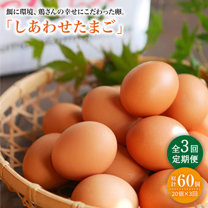 楽天市場】濃厚な味わい 平飼い赤鶏のたまご 10個入り×2パック