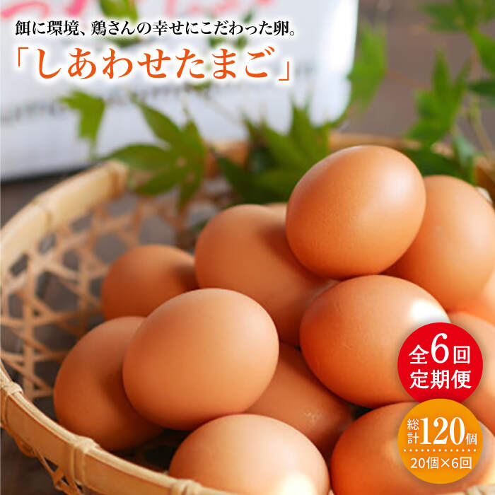 【ふるさと納税】【月1回20個×6回定期便】平飼い「しあわせたまご」計120個＜松本養鶏場＞ [CCD028]長崎 西海 たまご 卵 タマゴ 松本 養鶏場 定期便 平飼い 20個 6回定期便 TKG 卵かけご飯