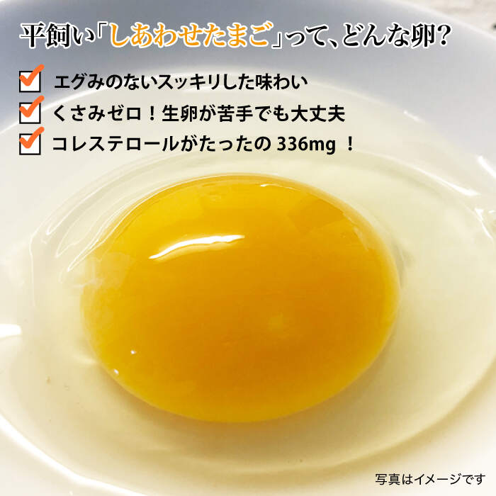 人気急上昇 ふるさと納税 毎月40個 12回定期便 平飼い しあわせたまご 計480個 松本養鶏場 Ccd030 Whitesforracialequity Org