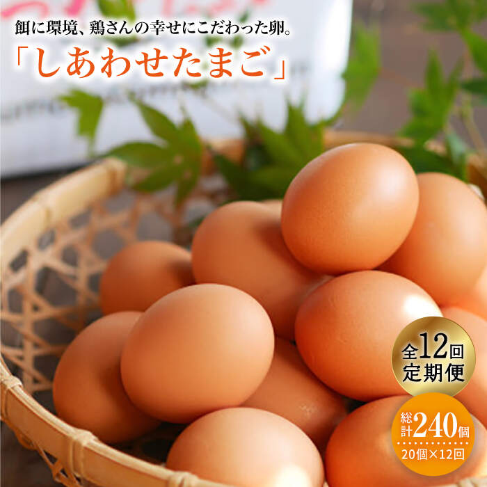 【ふるさと納税】【月1回20個×12回定期便】平飼い「しあわせたまご」計240個＜松本養鶏場＞ [CCD031]長崎 西海 たまご 卵 タマゴ 松本 養鶏場 定期便 平飼い 20個 12回定期便 TKG 卵かけご飯