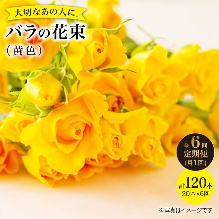 【ふるさと納税】【6回定期便】【記念日には バラ を送ろう】 バラ の 花束 （ 黄 ）＜花工房るふらん＞ [CCR033] 長崎 西海 花 花束 お祝い ギフト プレゼント 記念日 誕生日｜長崎県西海市