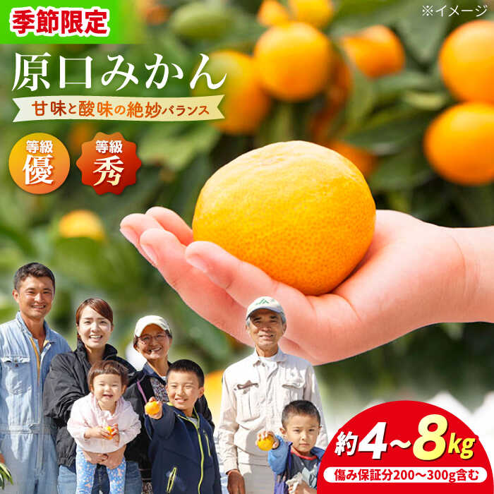 【お薦め】長崎県西海みかん約10キロ 長崎の西海みかん(2S中心3S/4S混合10kg)長崎県西海市瀬片農園直送