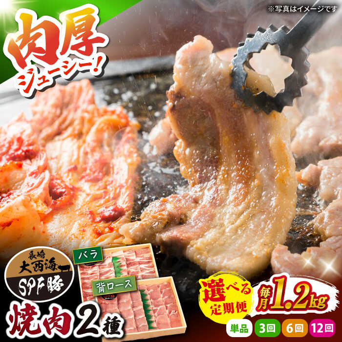 【ふるさと納税】【食べ比べ】大西海 SPF豚 背ロース ＆ バラ （ 焼肉用）計1.2kg（各600g）訳あり ＜大西海ファーム＞ [CCY007] 長崎 西海 肉 食品 肉類 国産 豚肉 こだわり セット 甘み 旨み ブランド豚 贈答 ギフト｜長崎県西海市