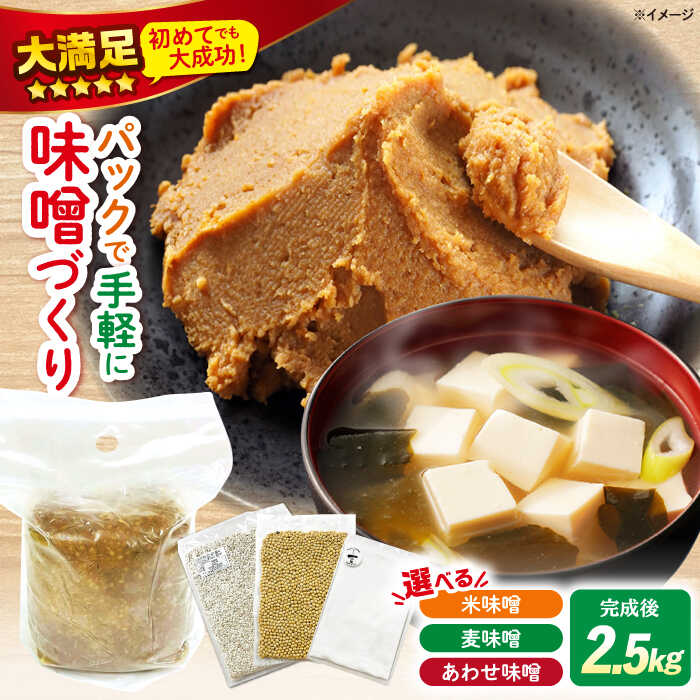 【ふるさと納税】【袋で簡単味噌づくり！】 手作り 味噌 キット ＜川添酢造＞ [CDN009] 長崎 西海 味噌 みそ 手作り 簡単 味噌