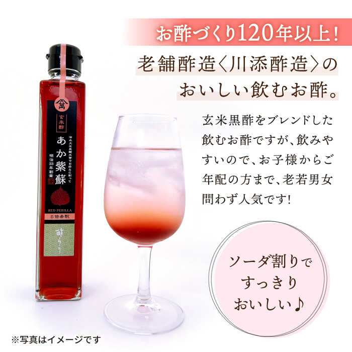 市場 ふるさと納税 飲む玄米酢 大瓶2本セット 酢らり