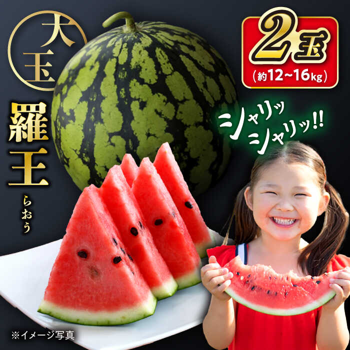 【ふるさと納税】【先行予約：2026年7月上旬より配送】 羅王 スイカ 2玉（約12kg～16kg）＜ファームまるだ＞ [CDT006] 長崎 西海 すいか スイカ 西瓜 羅皇 果物 フルーツ ギフト 贈答 夏